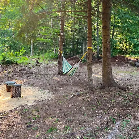 بيت ضيافة Taramazon باغينا باستا